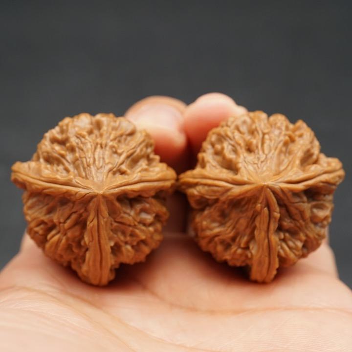 星核观测站长