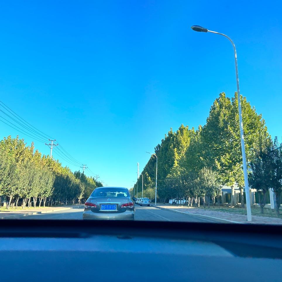 懒羊羊羊