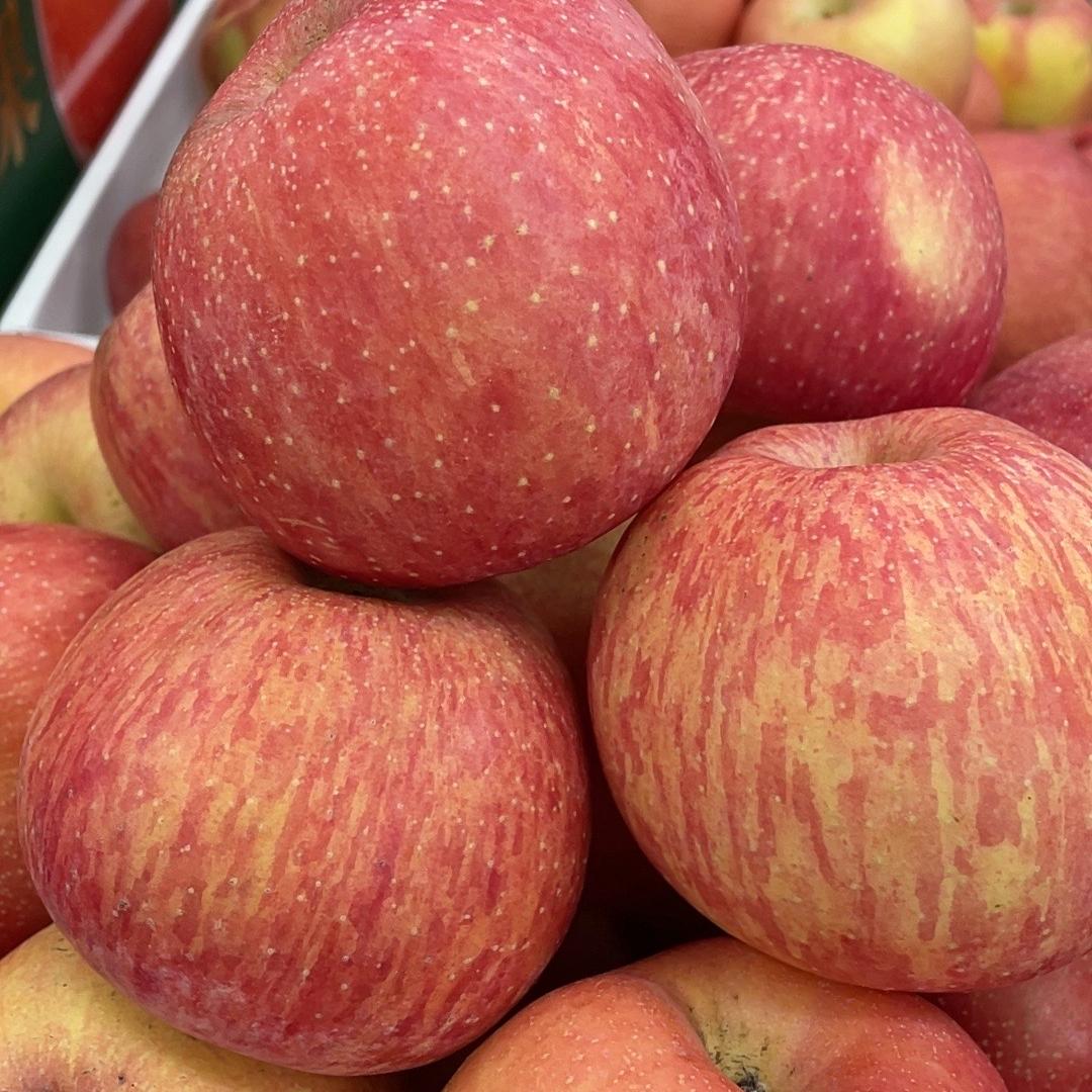 华源印象-严果果