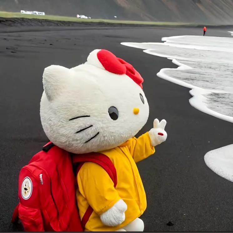 猫儿日杂中古好物
