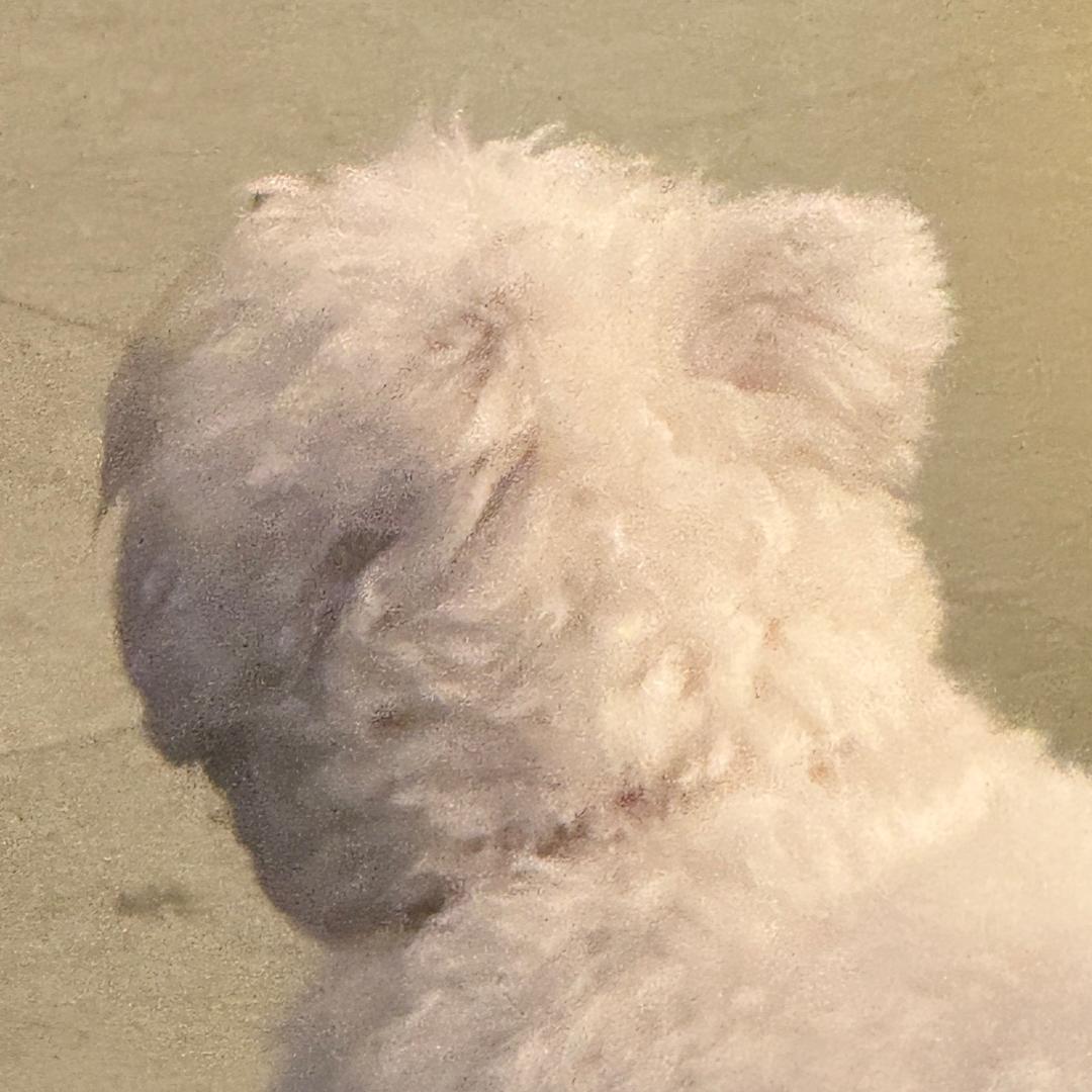 说ぬ做彼茈の迗使吗