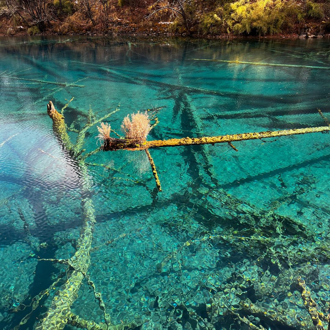 芒果严重过敏患者