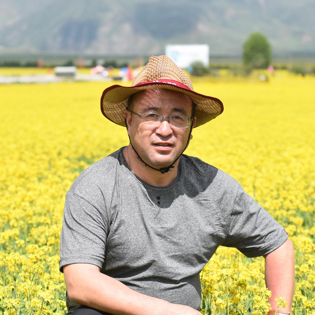 走走停停（道理文化）