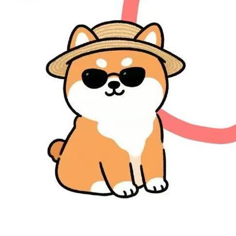 抓大鱼
