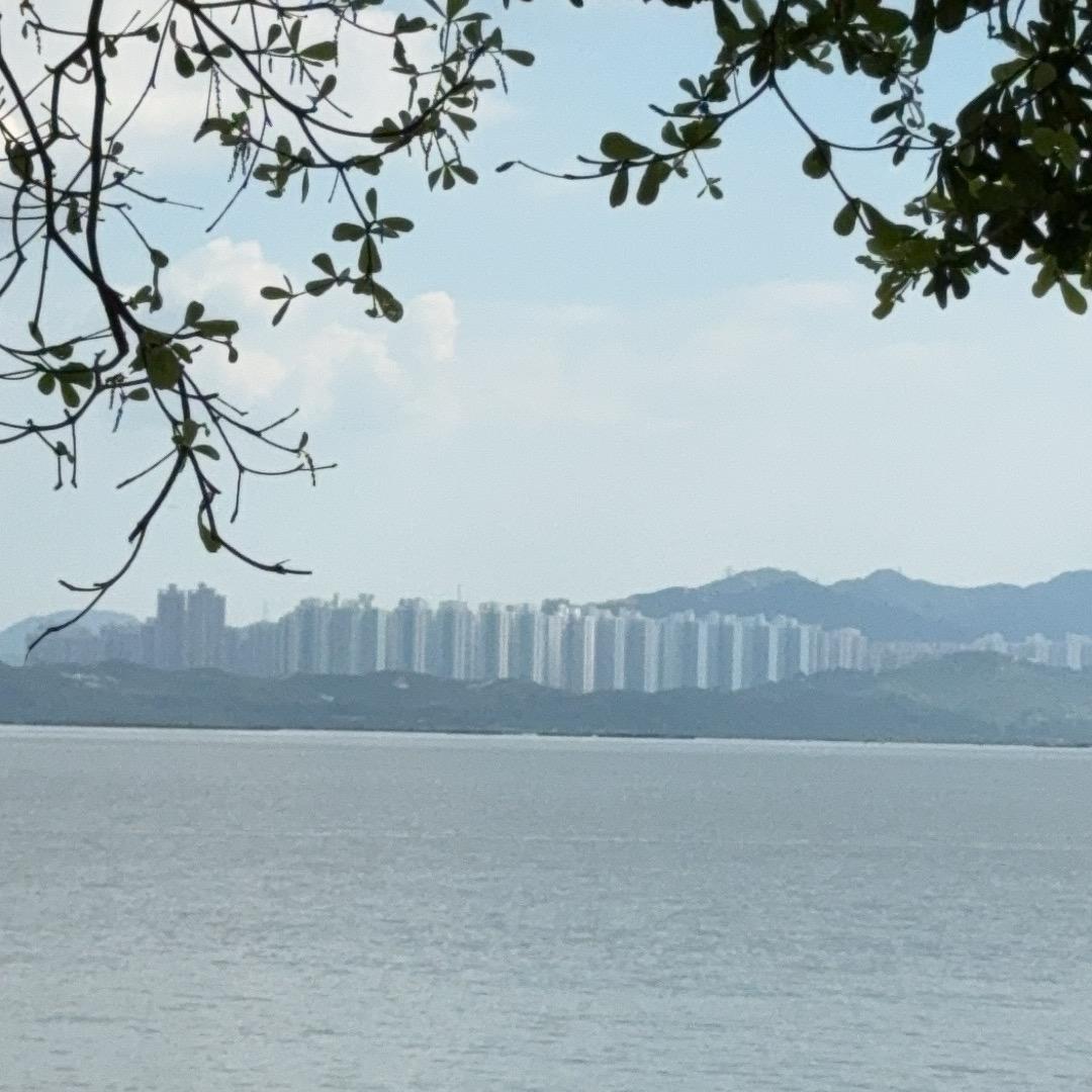 多姿多财