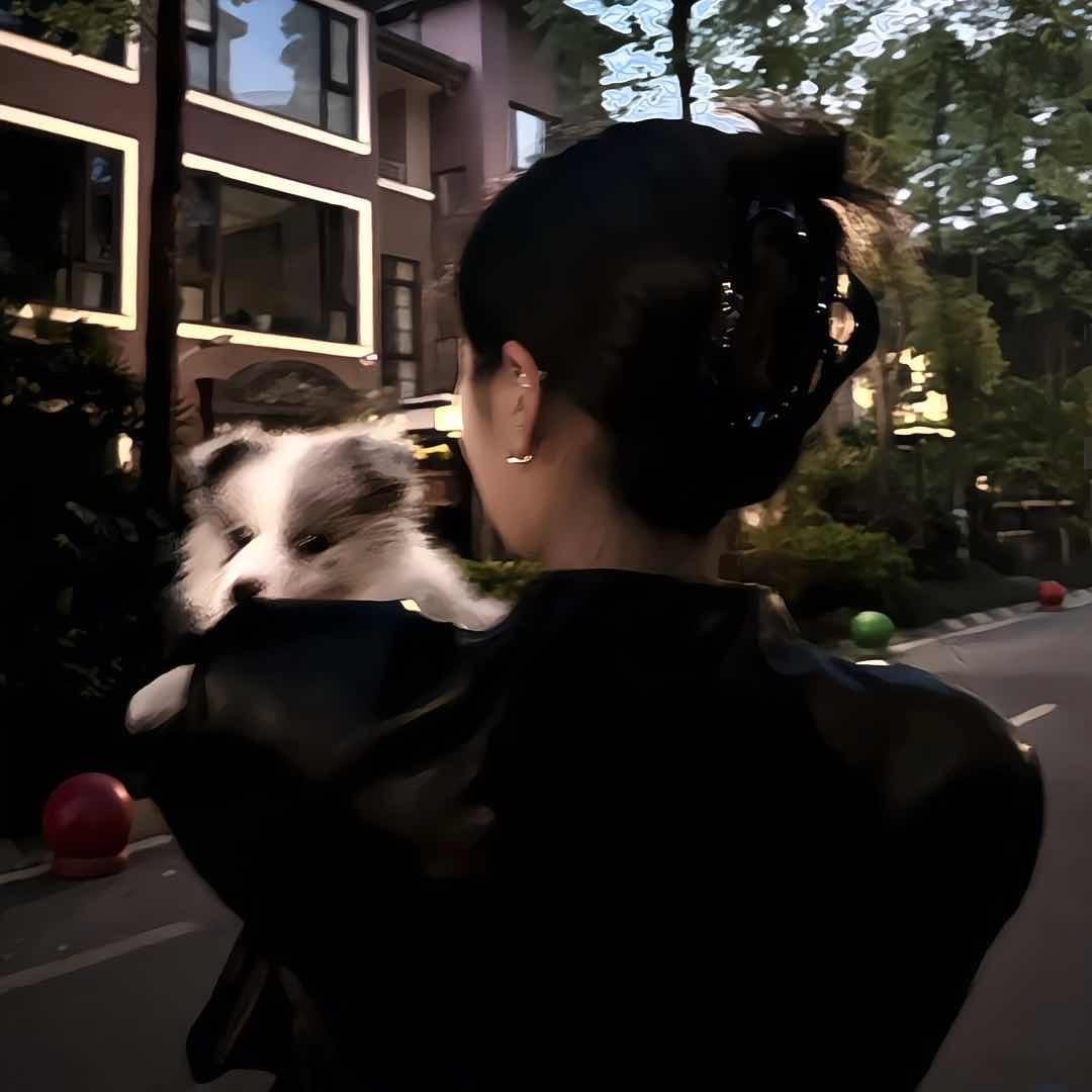 关你什么柿