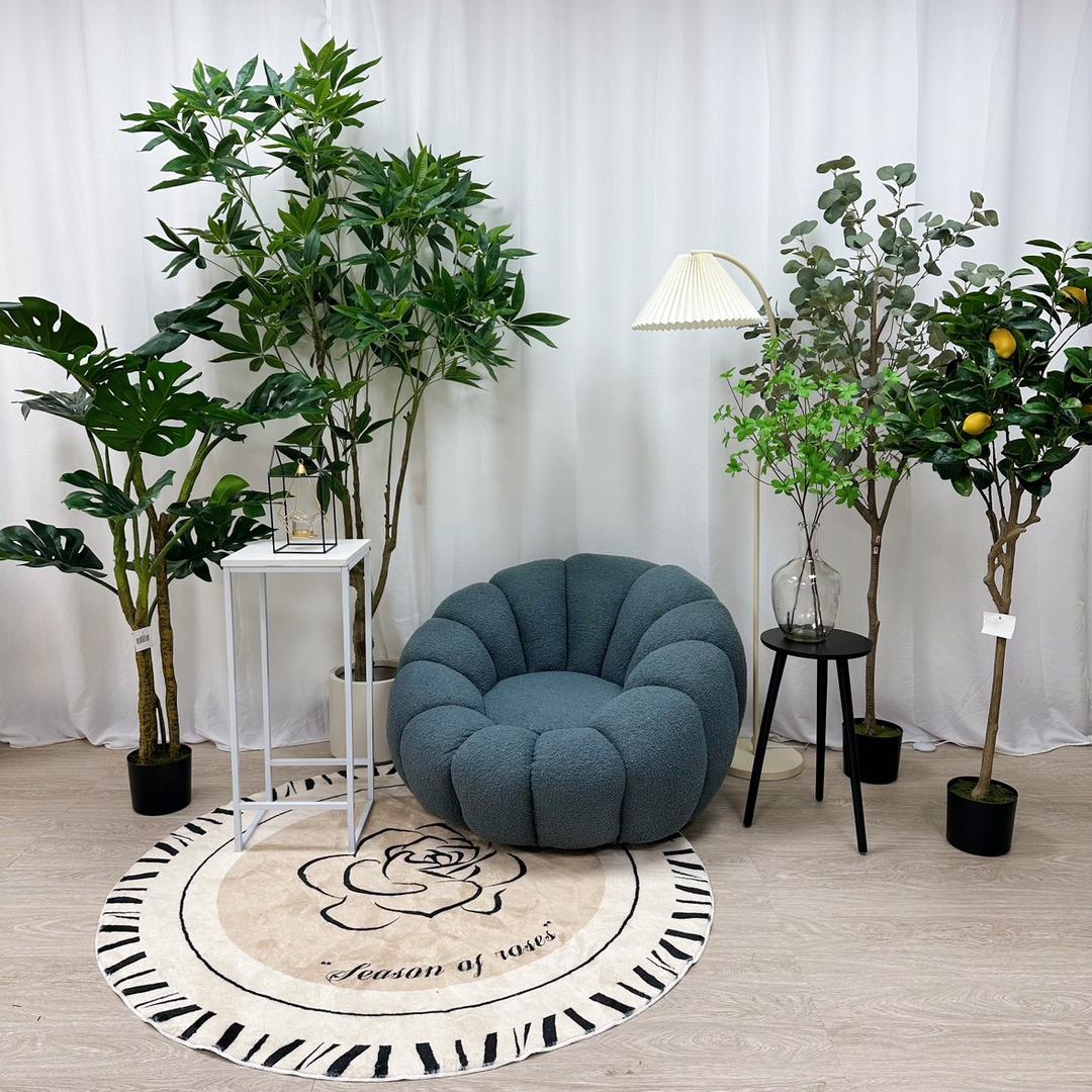 绿植之家