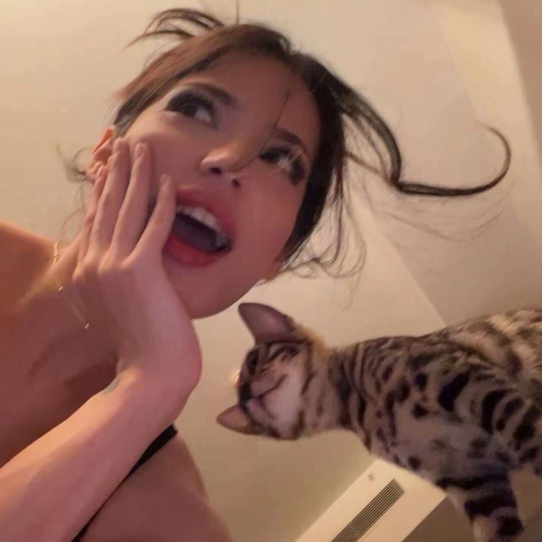 道德什么的都喂狗了