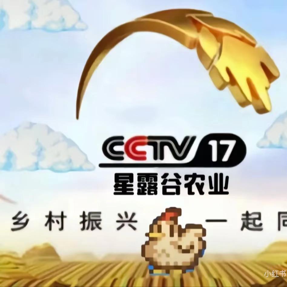 努力躺平🛌