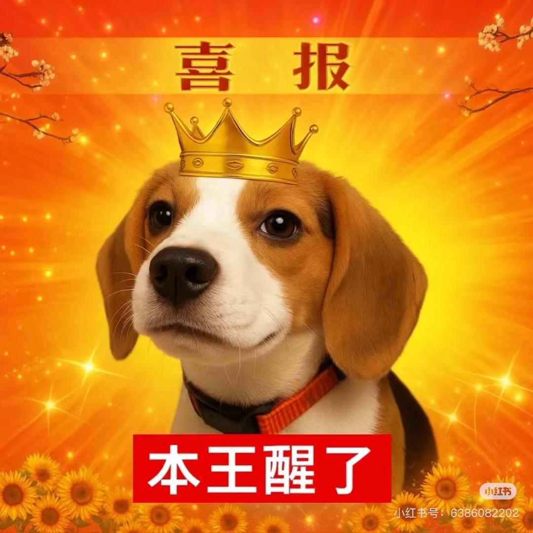 小河马历险记