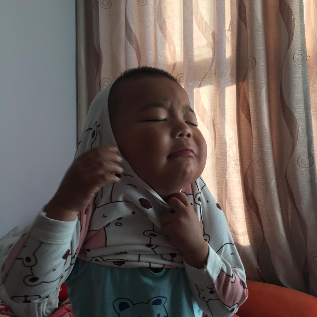 不爱吃肉的小胖子