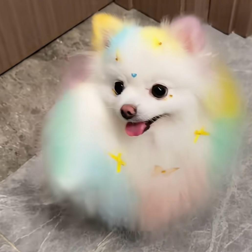 鱼辣辣不吃辣