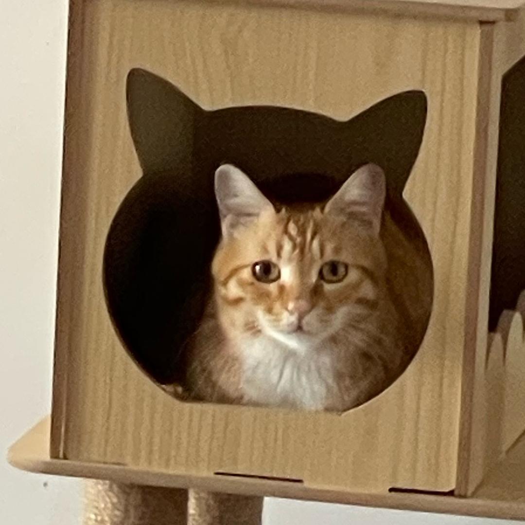 妹妹