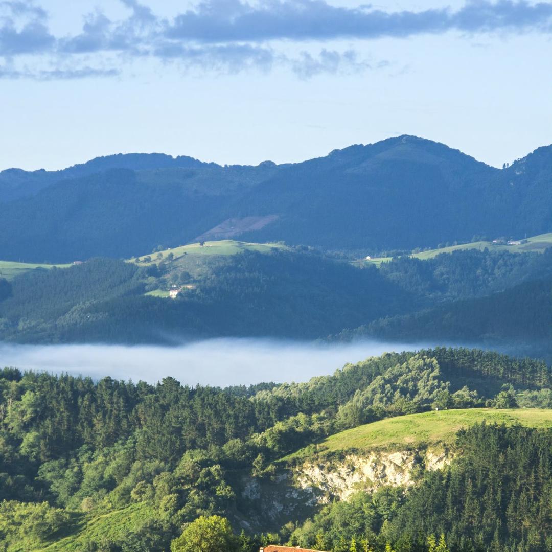 人间正道是沧桑1921