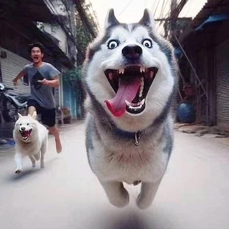 谁的小可爱😍