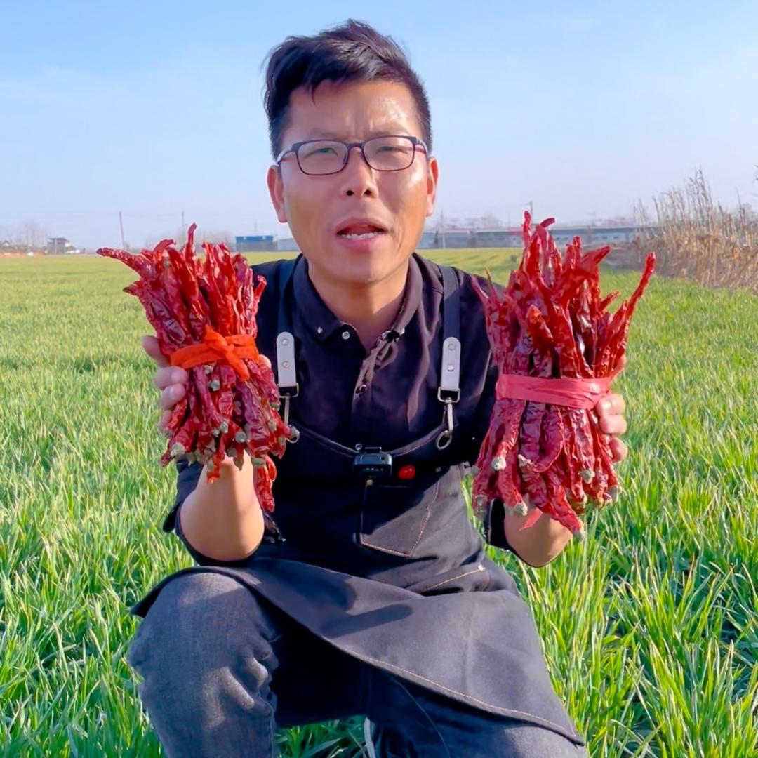 颍山红辣椒优选