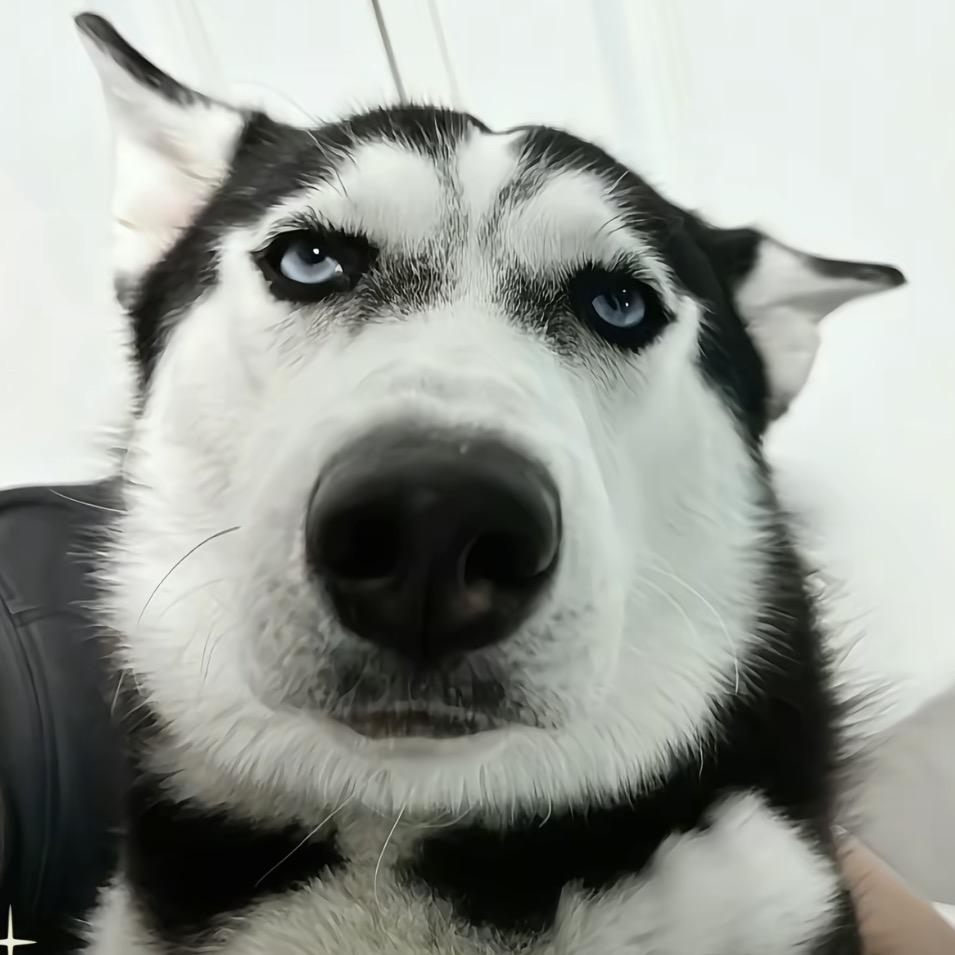 我的人生太多雨季