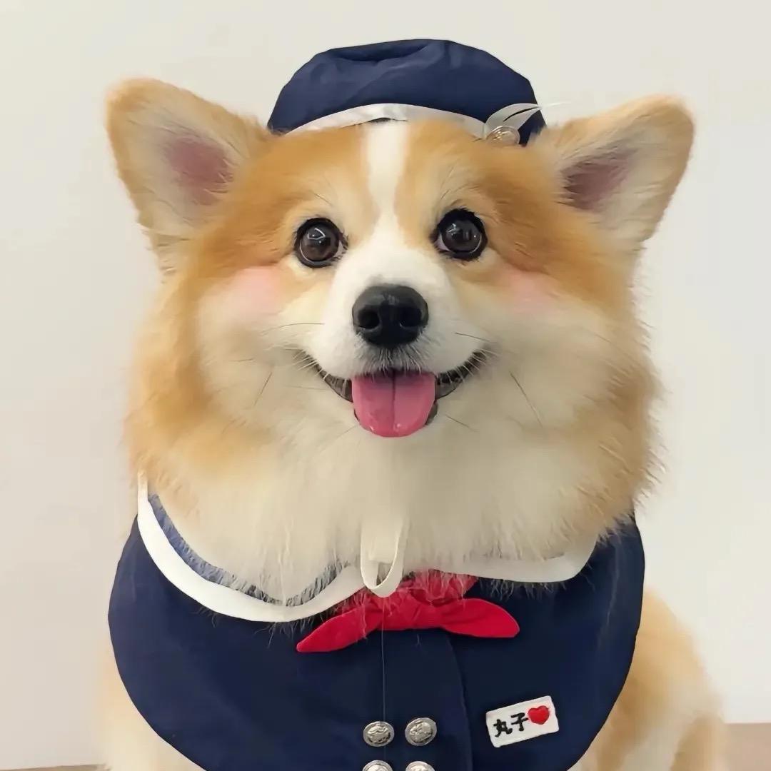 Ayan户外生活馆