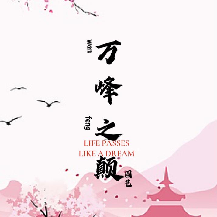 万峰之巅园艺