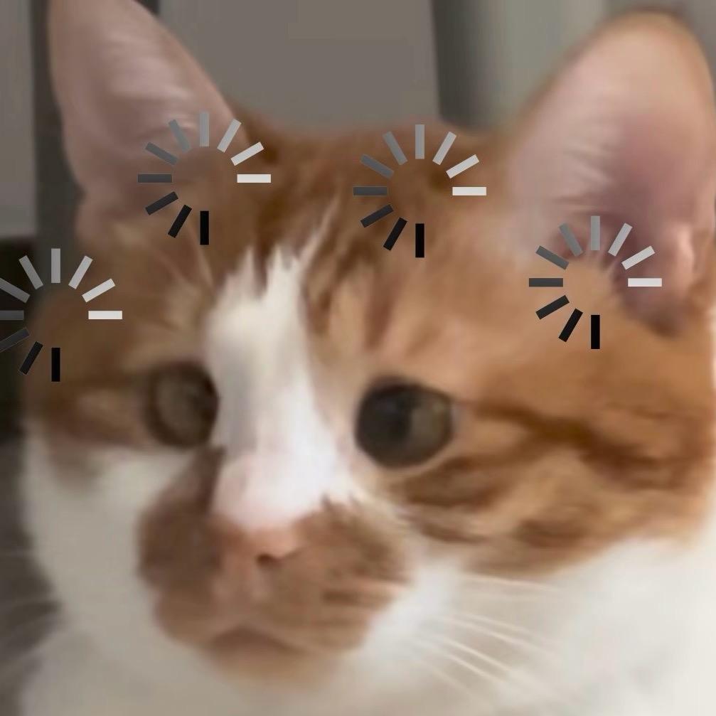 非主榴