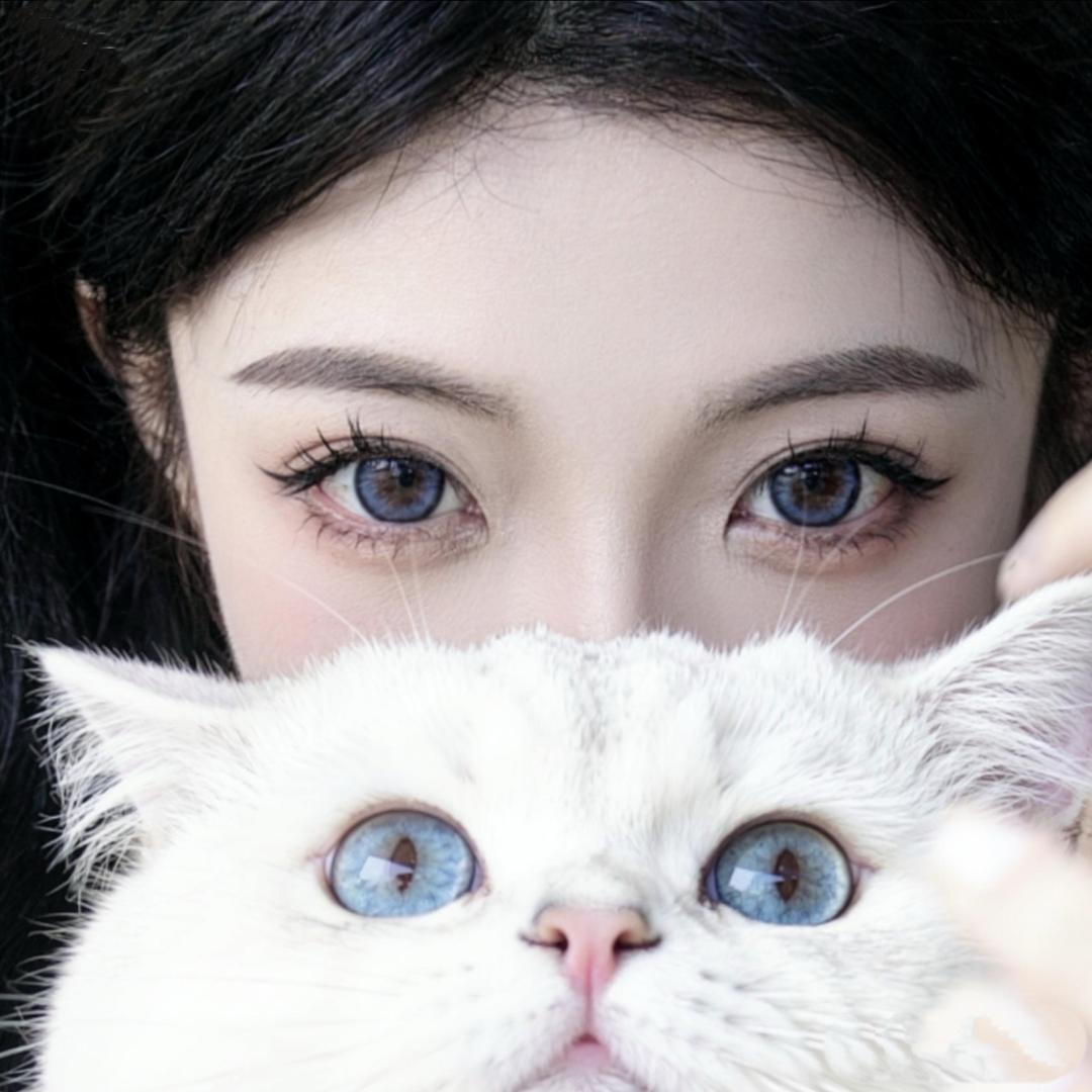 ㅤㅤㅤㅤㅤㅤ有啤酒肚的叼毛