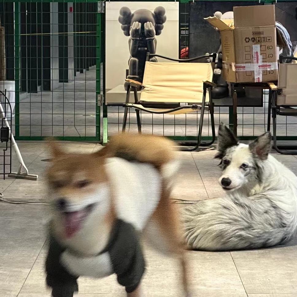 嘚一凹的刁