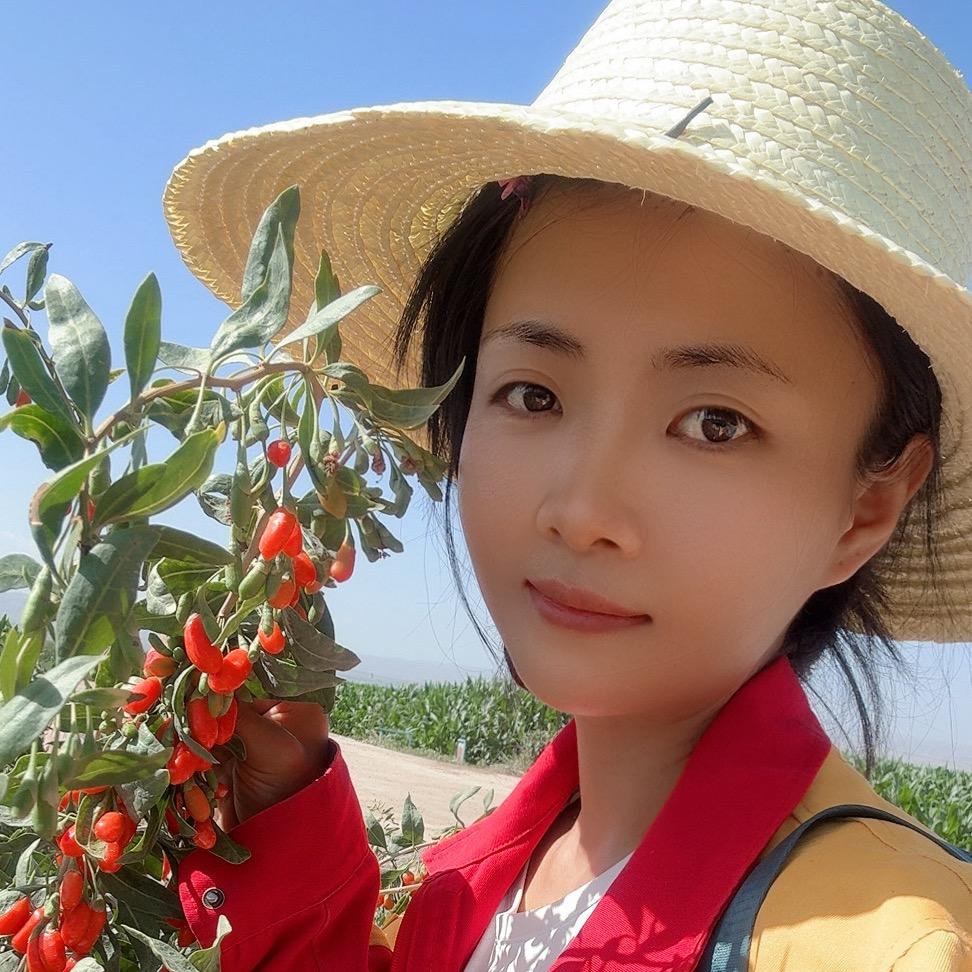 正三观枸杞（大浪）