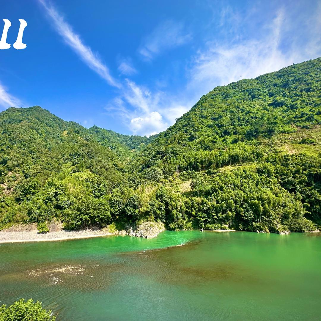 开着T1去钓鱼🎣