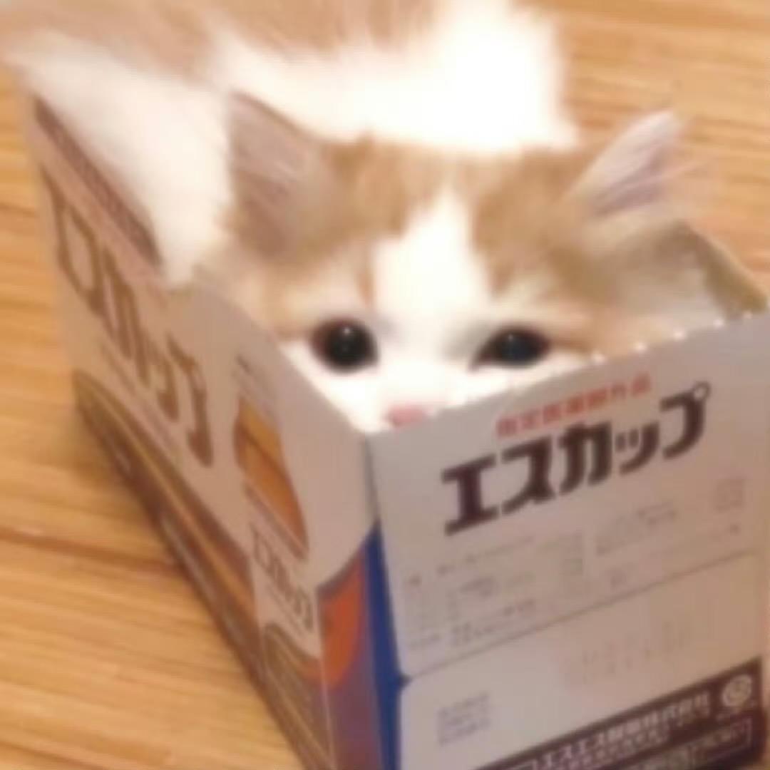 安珩