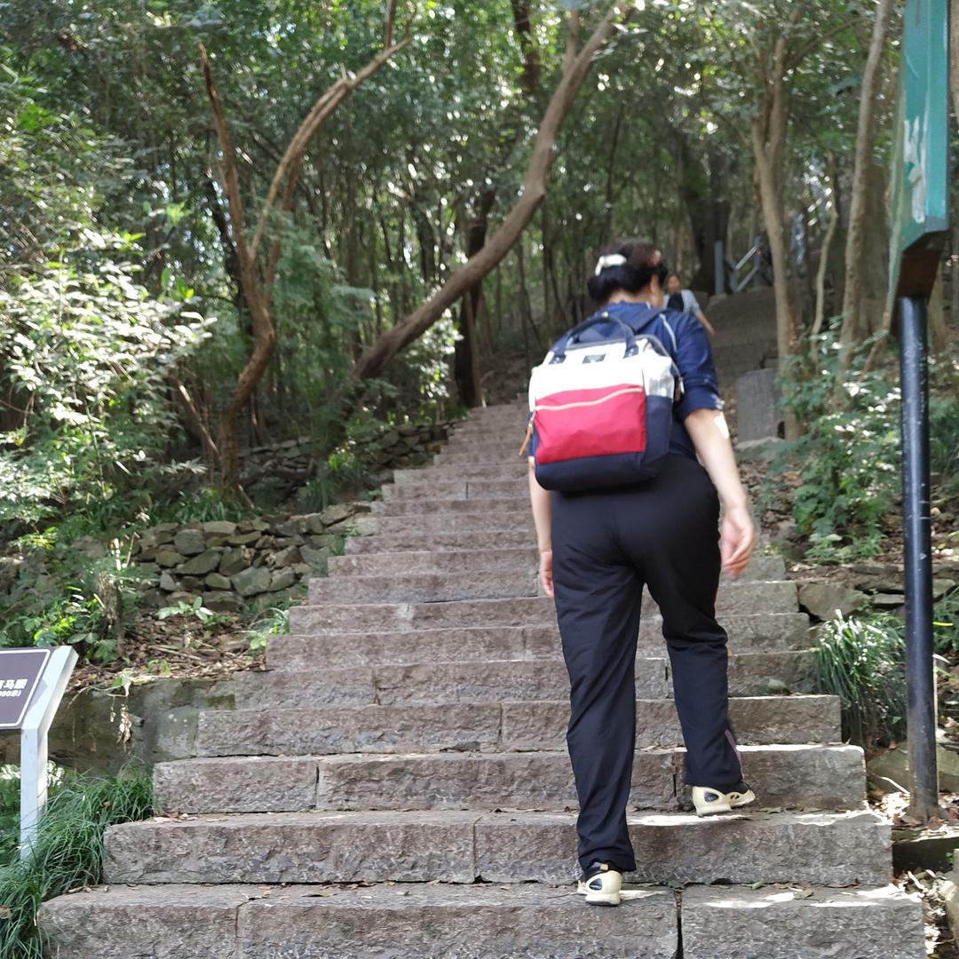 西山燕姥（手机摄影）