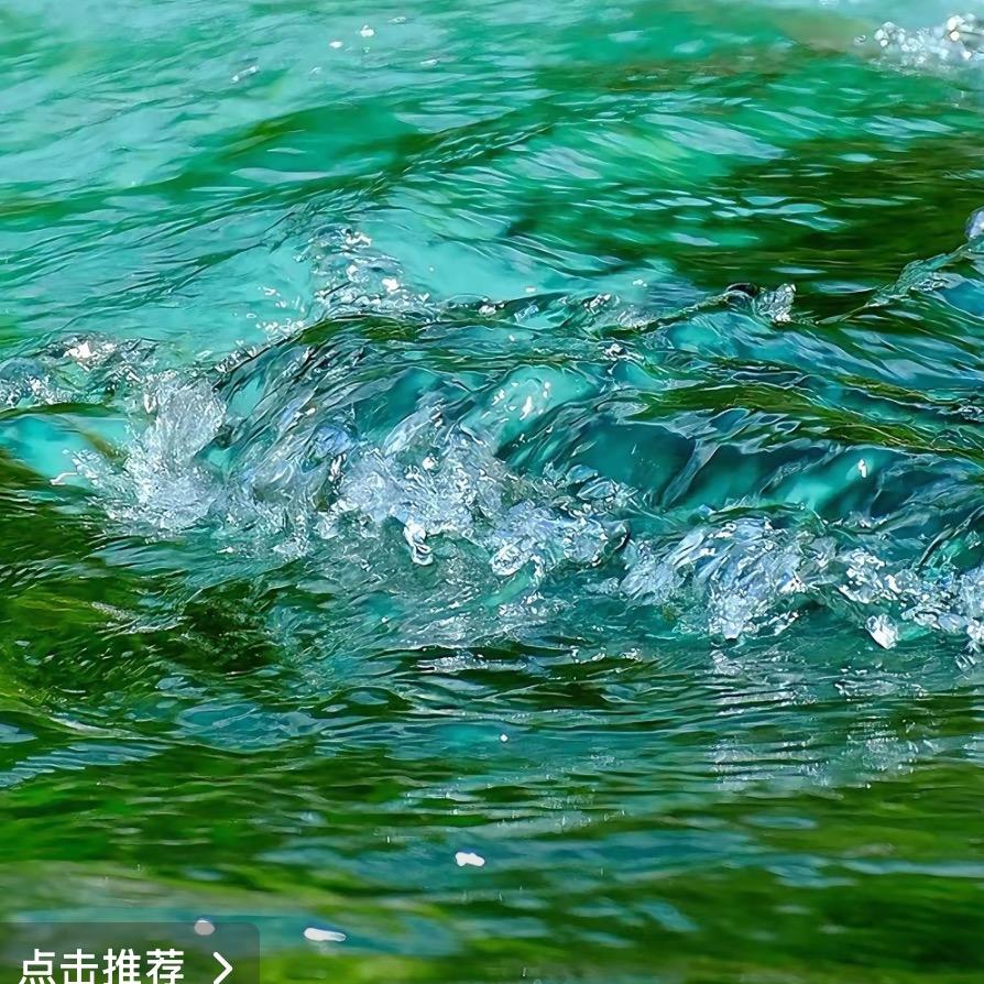 淡雅