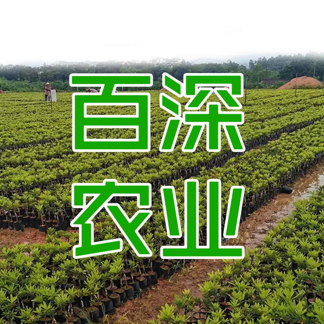 百深果树苗木专营店