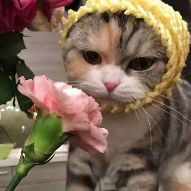 这就不太善了