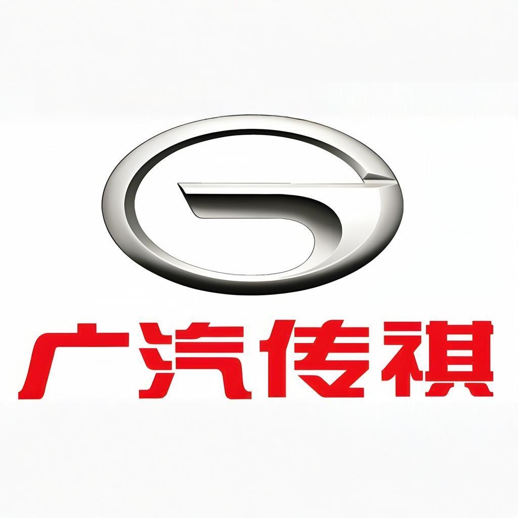 广汽传祺华东大区