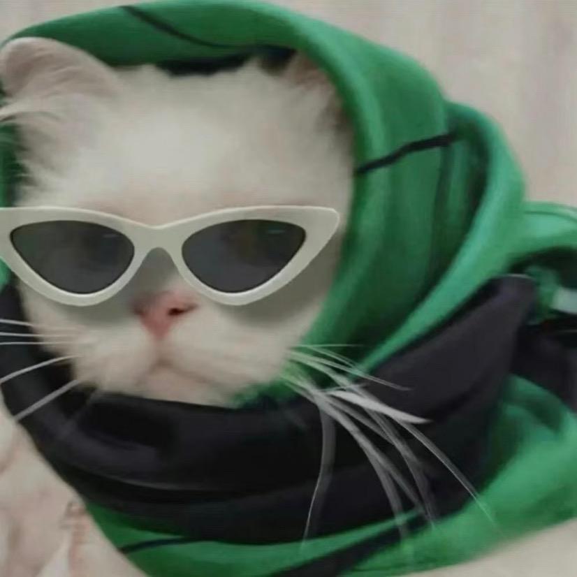 猫了个喵🐱