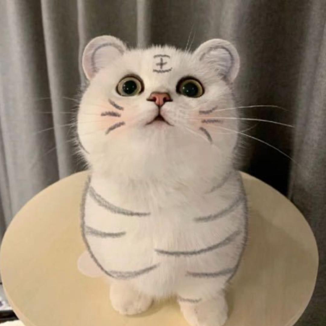 MeiLi范儿～