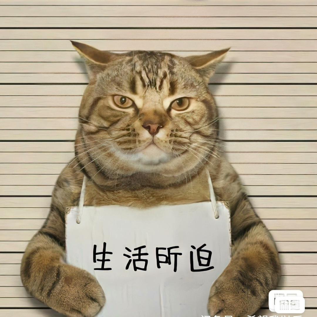 讨厌薄荷