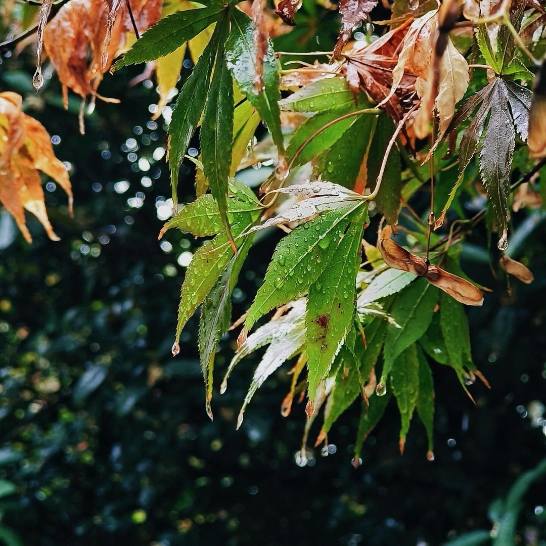 春暖花开～