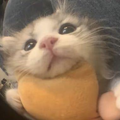 逸伦