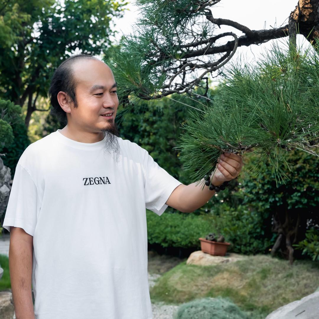 周工说树