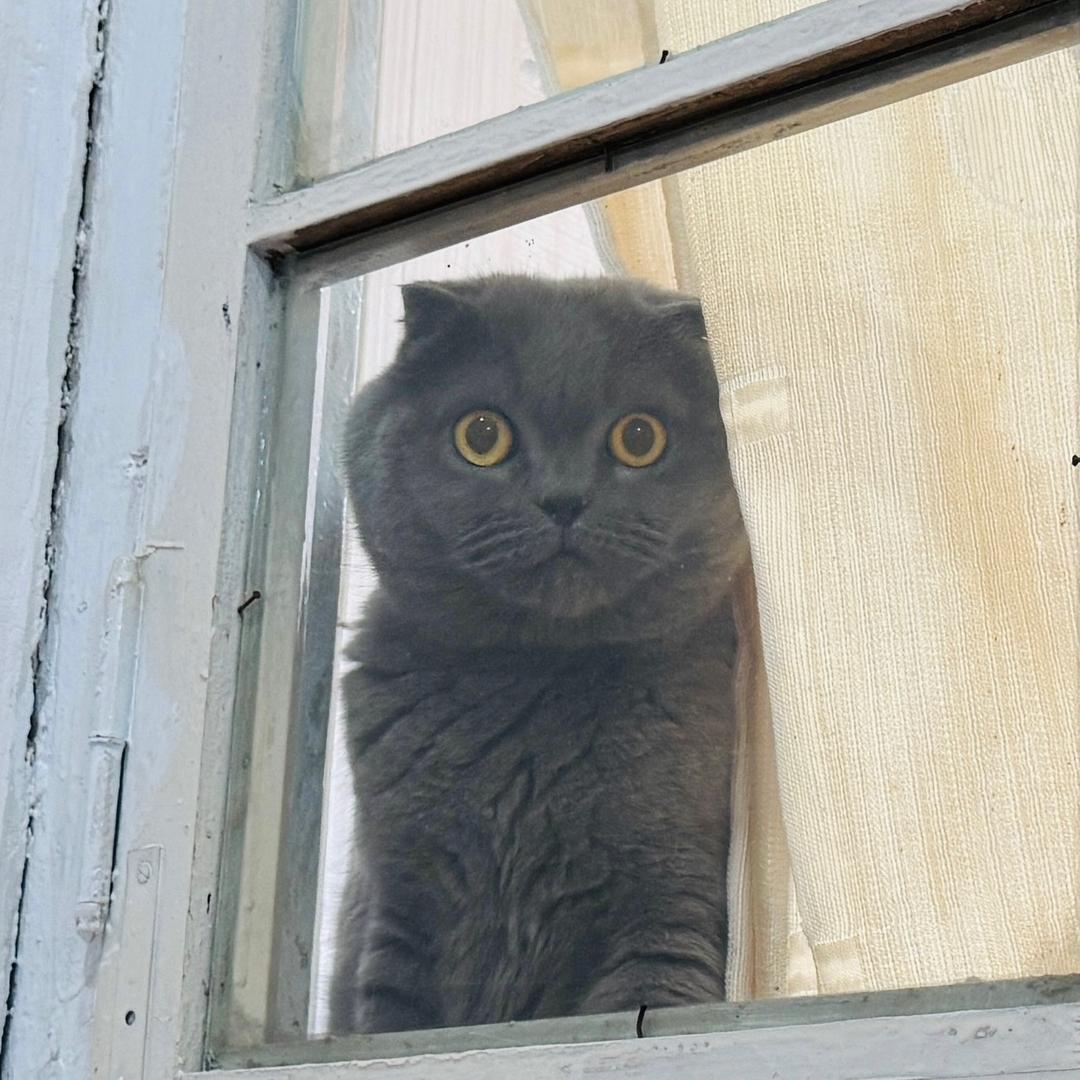 八方来财财源滚滚财神到