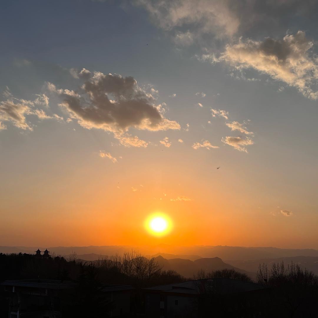 不发胖只发财🐬