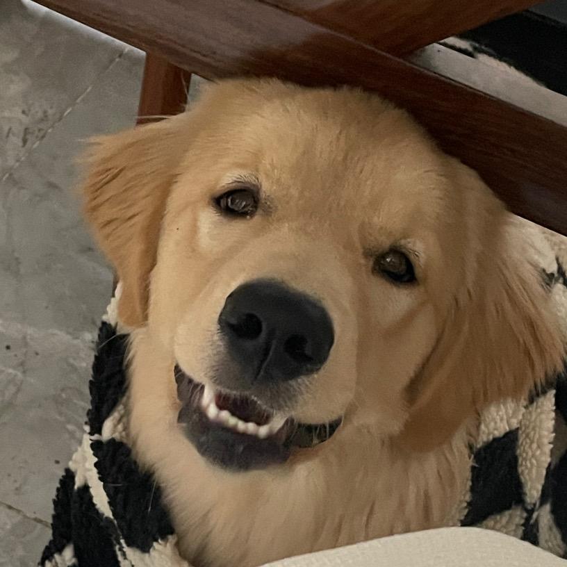 贝塔是个老嫂子