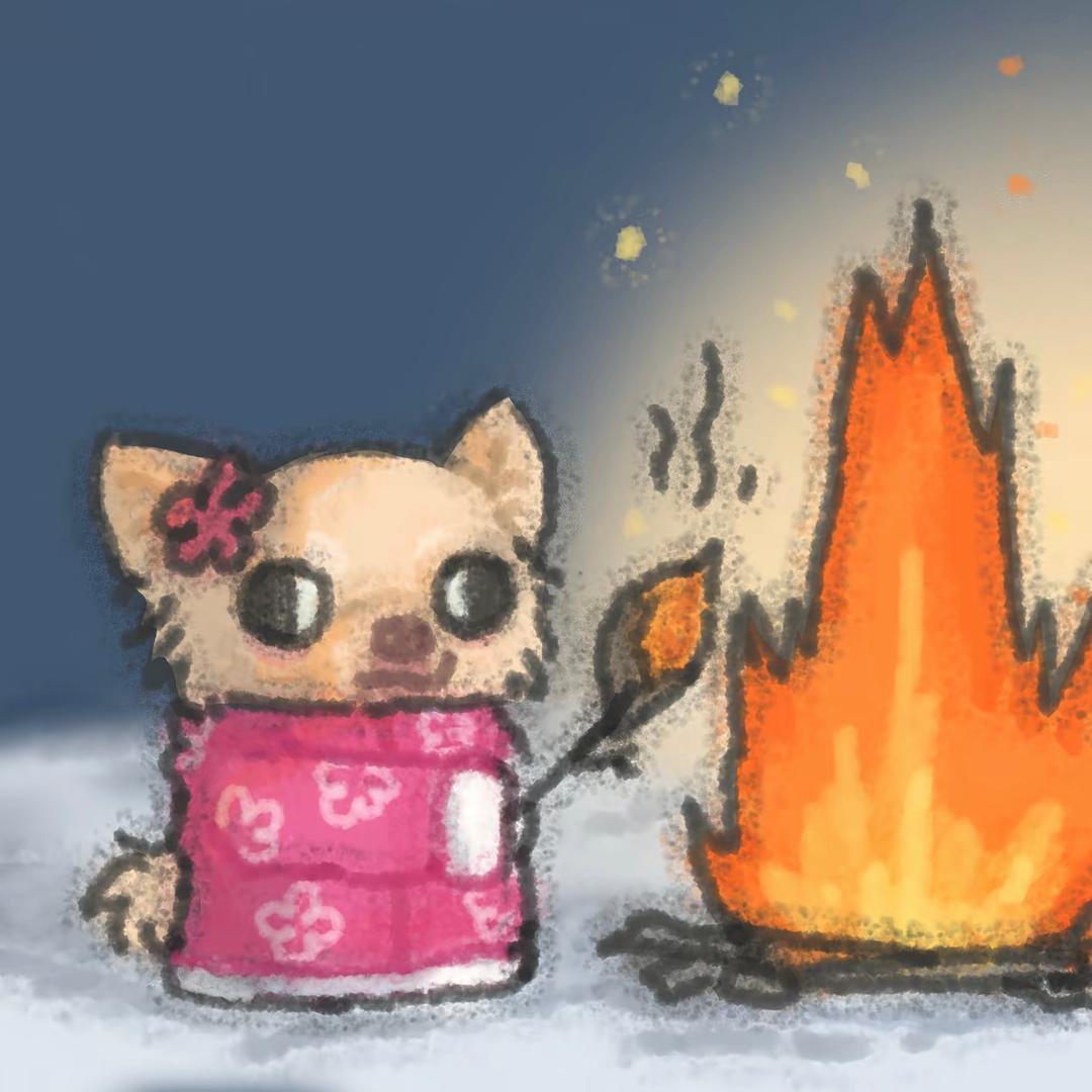 永远不挂科