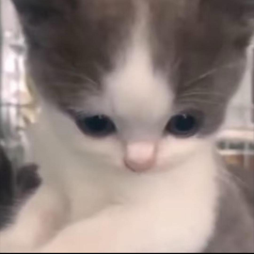 长点脑子吧