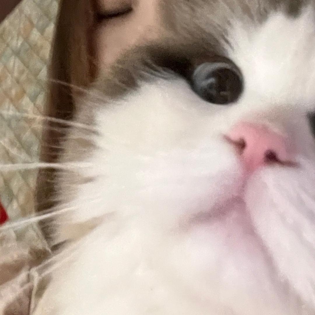 狗蛋的朋友圈