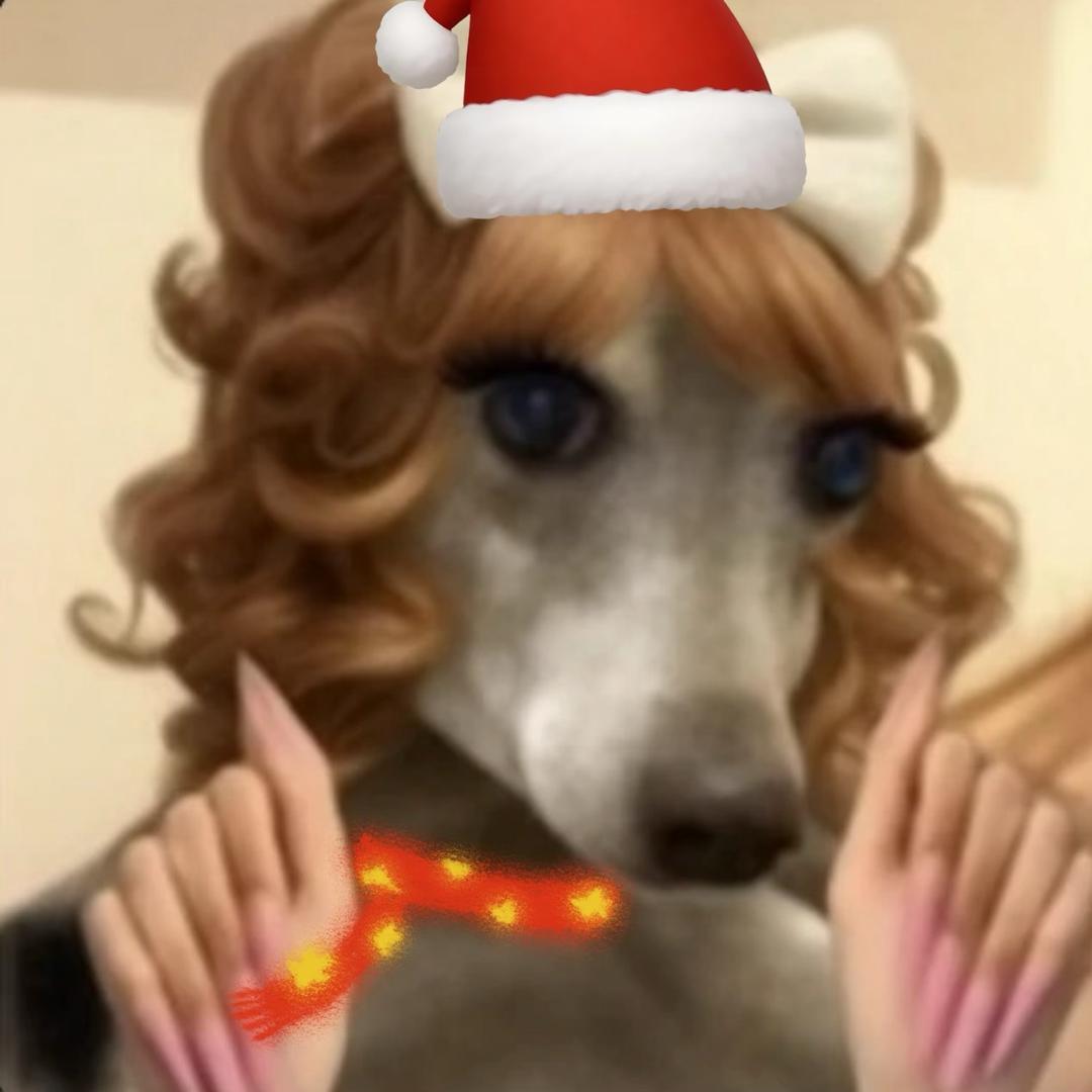 狗狗是世界上最可爱的小动物么么啾🐾🐕