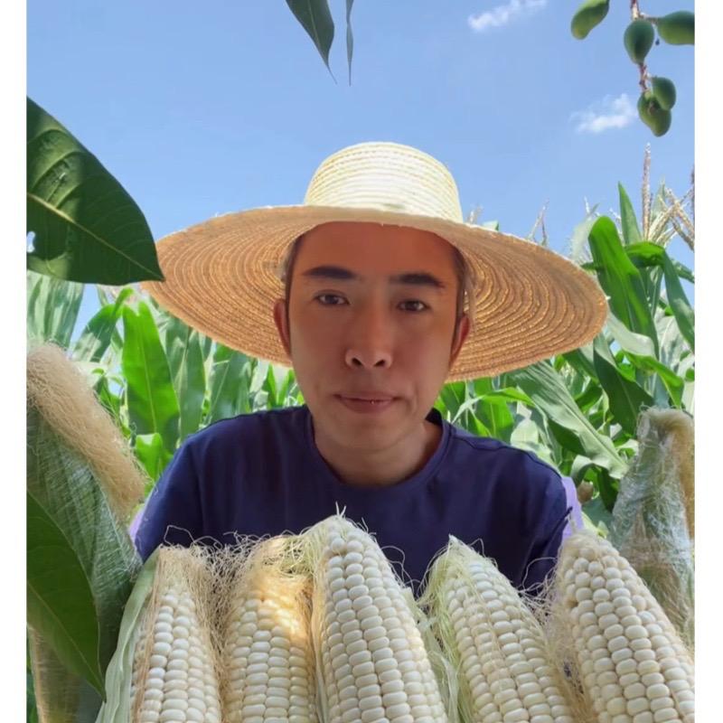稻花生鲜
