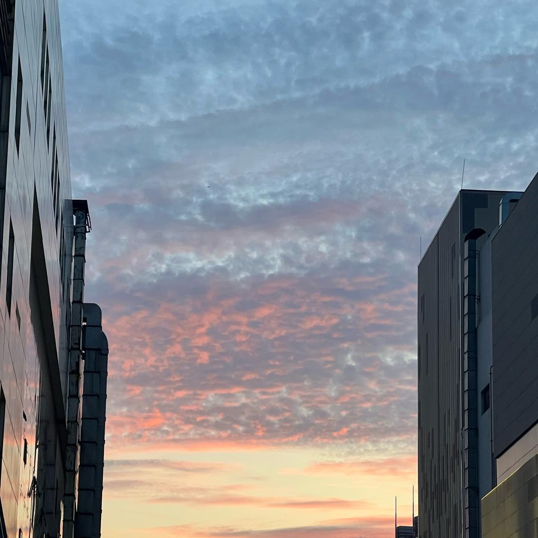 🍅番茄导弹🍳