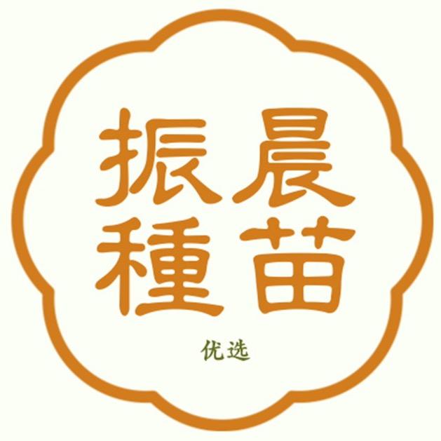 振晨种苗优选